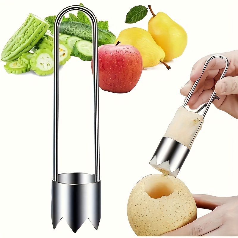 Removedor de Sementes de Fruta - Commercial Kitchen Setup avaliação e preço